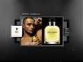 Dolce & Gabbana Parfums